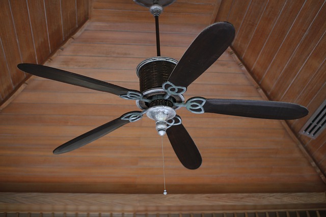 ceiling fans