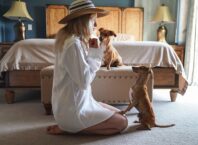 Finding Pet-Friendly Rentals: Guide for Tenants pet friendly rentals