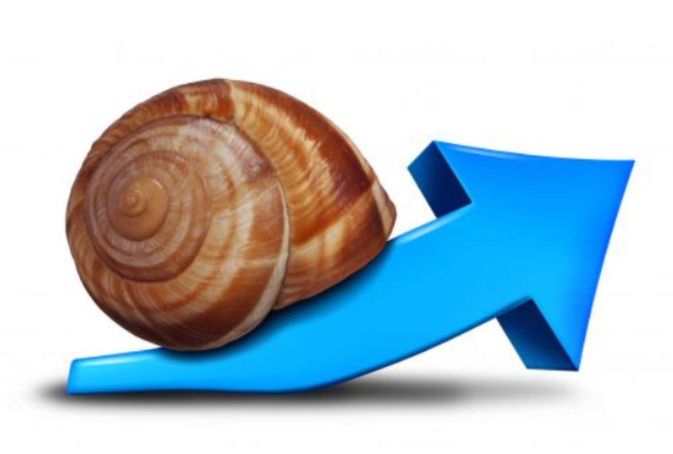 Long term vs. short term